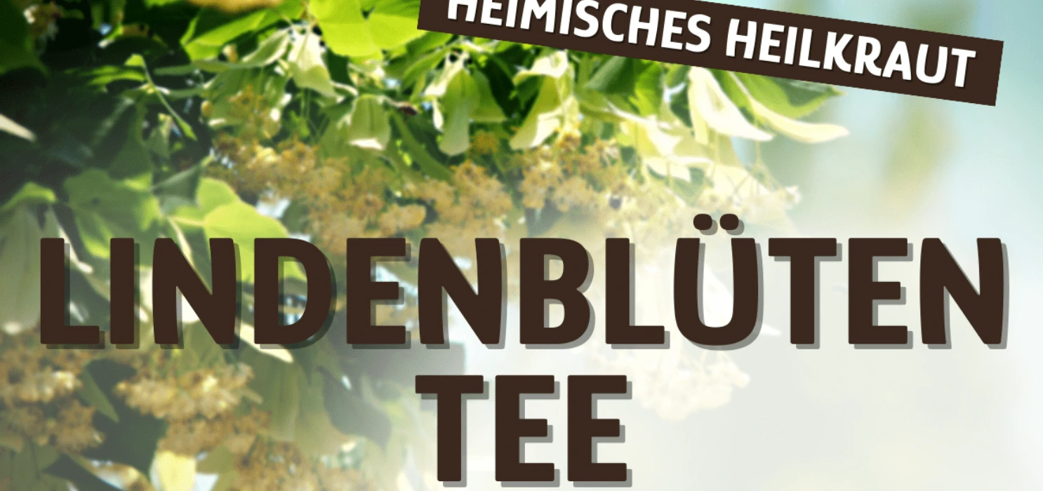 Lindenblüten Tee